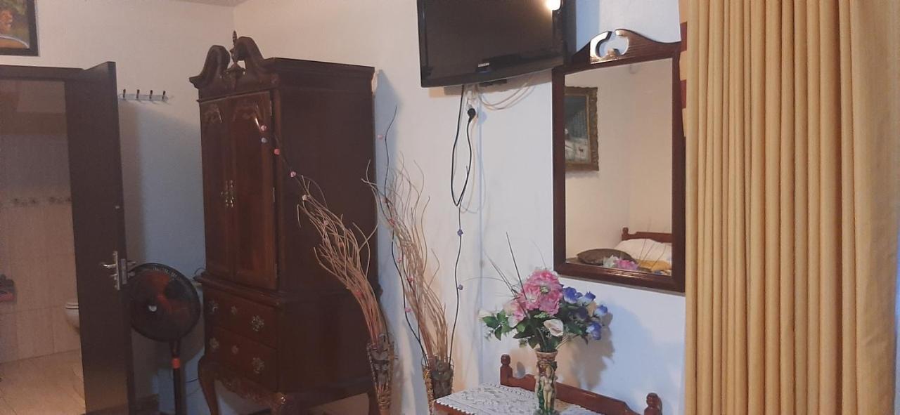 Pensiunea Albatros كوستِنيست المظهر الخارجي الصورة