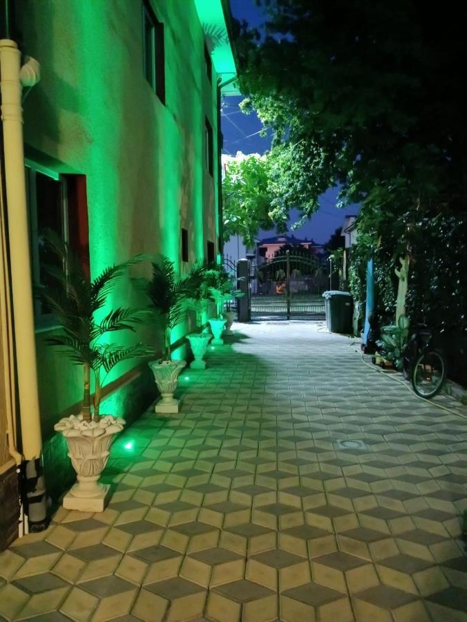 Pensiunea Albatros كوستِنيست المظهر الخارجي الصورة